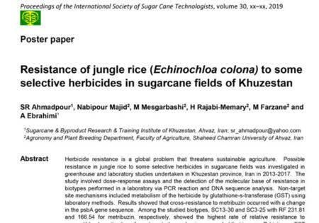 Resistance-of-jungle-rice-ISCCT-1-1-693x1024